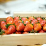 奈良 守井農園 イチゴ”古都華”
