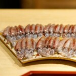 朝獲れのホタル烏賊