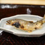 天竜川の鮎